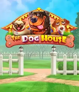 От Pragmatic Play представлен слоте The Dog House, демонстрирующий очаровательное путешествие с игривых щенков. Откройте для себя функциях таких как множители, разработанных для доставления развлекательного геймплея. Обязательно для энтузиастов животных легкую атмосферу наряду с щедрыми наградами.