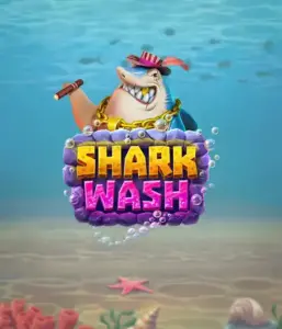 Погрузитесь в забавным подводным приключением с игрой Shark Wash от Relax Gaming, выделяющим яркую графику подводных обитателей в забавной обстановке автомойки. Откройте для себя развлечению, когда акулы и другие морские животные проходят через пузырьковой чисткой, с захватывающие игровые функции вроде специальных бонусов, вайлдов и бесплатных вращений. Идеально подходит для геймеров, кто ищет радостного приключения в играх с свежей тематикой.